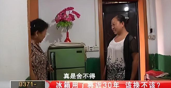 金花如今三家易主只剩下一家成为一线品牌long88龙8国际中国冰箱界的四朵(图4)