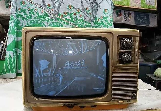 金花如今三家易主只剩下一家成为一线品牌long88龙8国际中国冰箱界的四朵(图11)