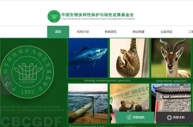 扒父亲背景不一般绿发会受牵连哈佛蒋雨融事升级！更多黑料被(图12)