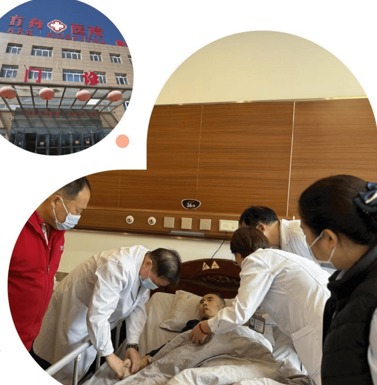 院失能卧床老人康养的安心之选【2026最新】收藏！北京好的养老院名单汇总东燕郊方舟养老(图1)